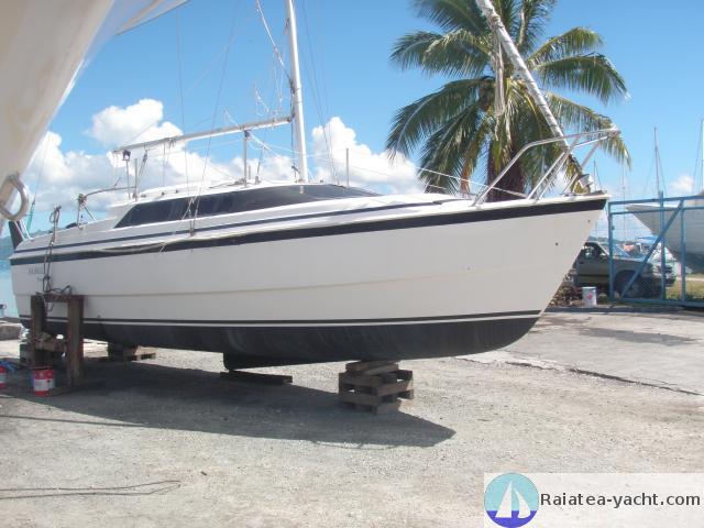 MacGregor 26