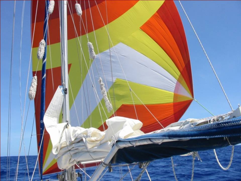 Spi / Spinnaker