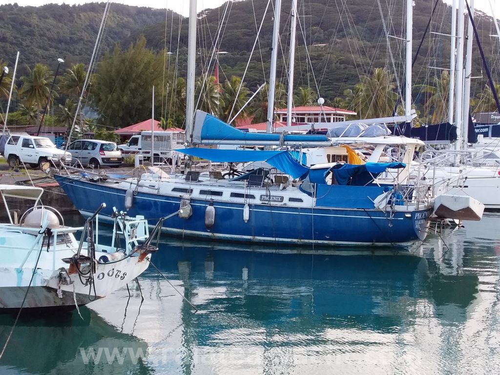 sailboat compass for sale